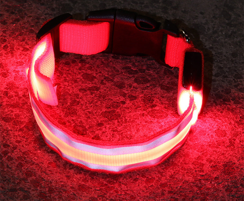 LED Light-Up Dog Collar – Anti-Lost, Adjustable & Night Safety Collar