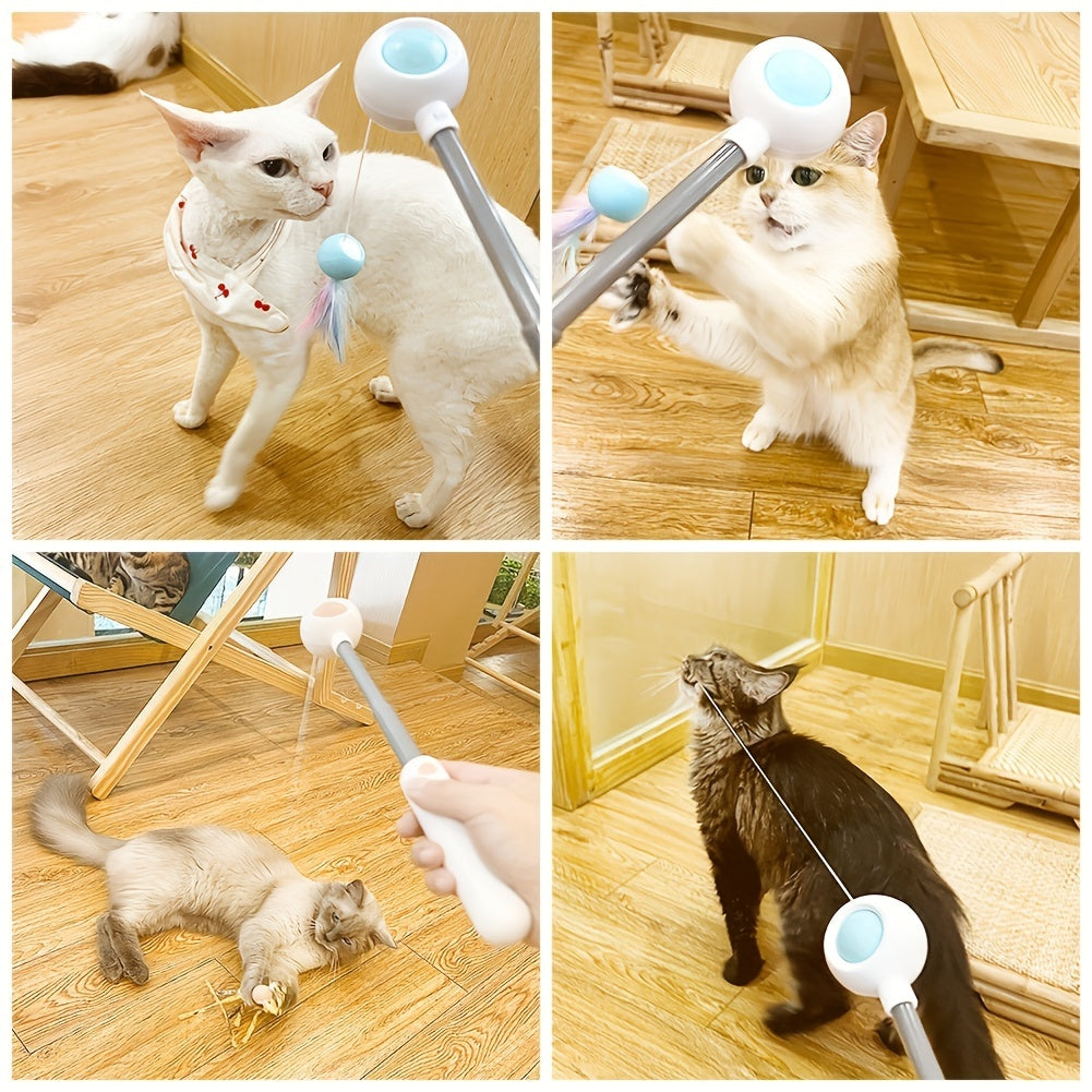 Retractable Cat Teaser Stick with Replaceable Feather Head