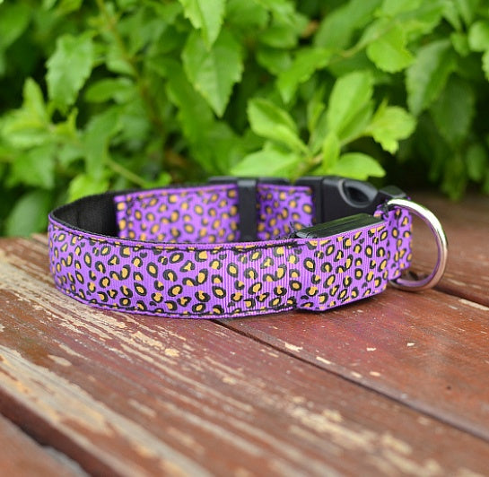 LED Safety Dog Collar – Adjustable Nylon Leopard Print Light-Up Pet Collar