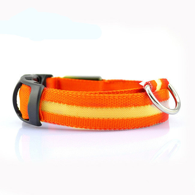 Safety LED Dog Collar – Adjustable Light-Up Collar for Night Visibility