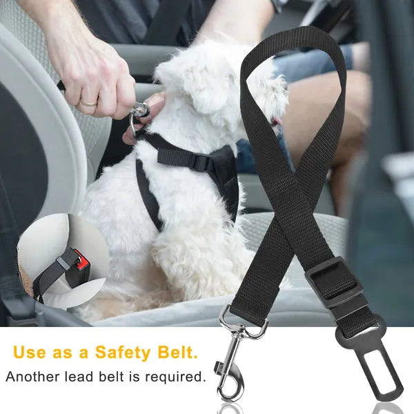 Adjustable Dog Car Seat Belt Leash (2-Pack – Elastic Safety Harness for Dogs & Cats)