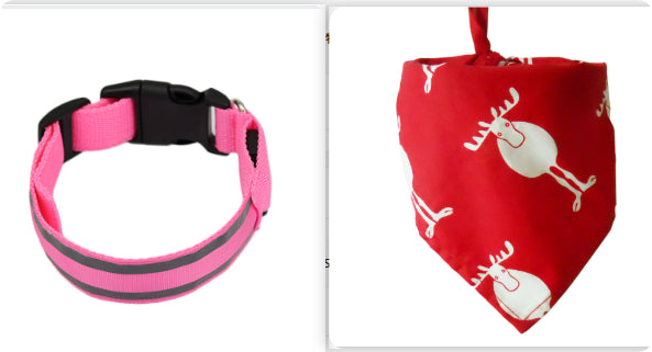 LED Light-Up Dog Collar – Anti-Lost, Adjustable & Night Safety Collar