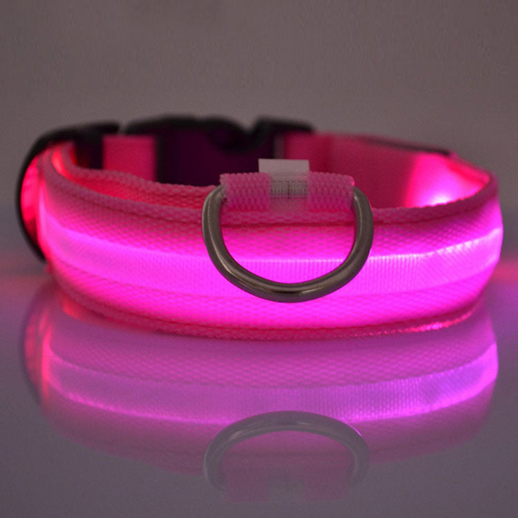 LED Safety Dog Collar – Adjustable Light-Up Collar for Night Walking