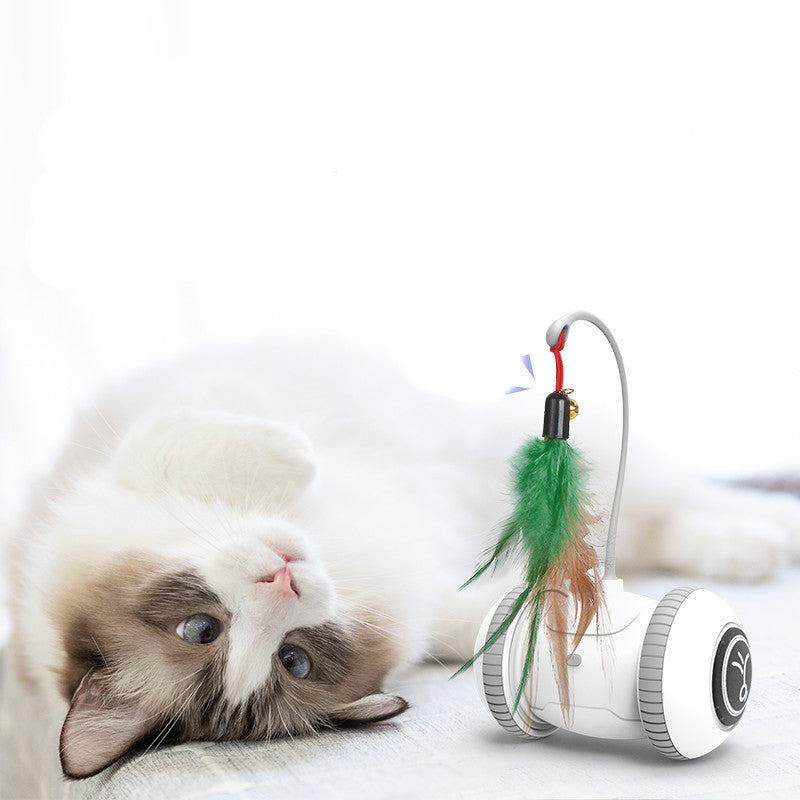 Interactive Automatic Cat Toy with Interchangeable Feather & Plush Attachments