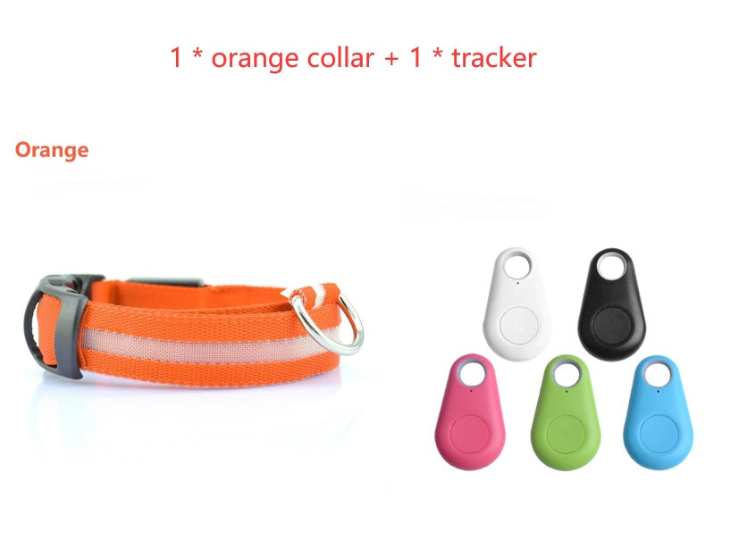 LED Safety Dog Collar – Adjustable Light-Up Collar for Night Walking