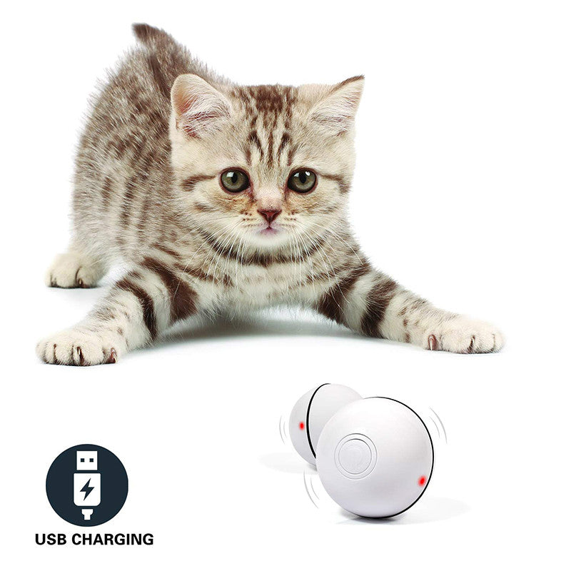 Rechargeable Interactive LED Cat Toy Ball (Self-Moving)