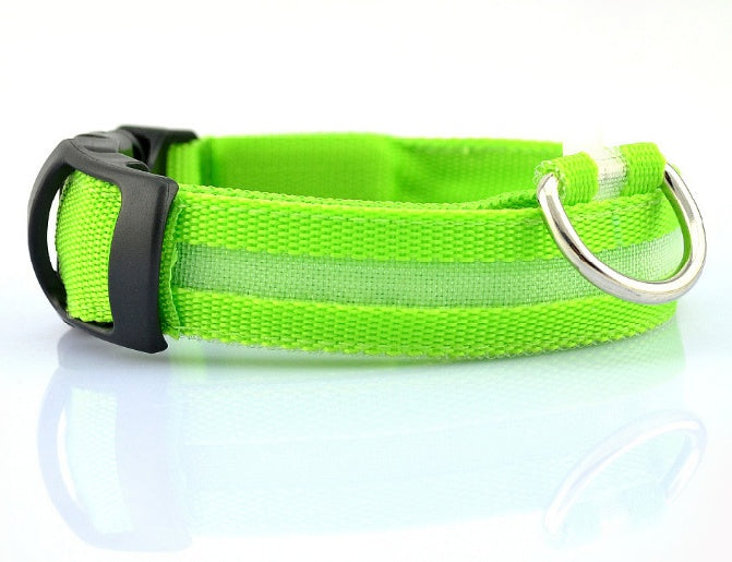 Safety LED Dog Collar – Adjustable Light-Up Collar for Night Visibility