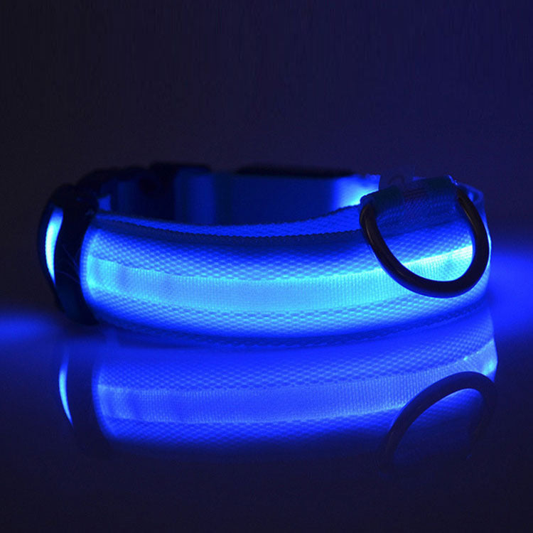 LED Safety Dog Collar – Adjustable Light-Up Collar for Night Walking