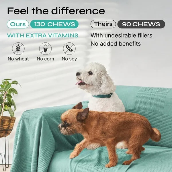 Hemp Calming Soft Chews for Dogs (Gentle Anxiety Support – Duck Flavor)