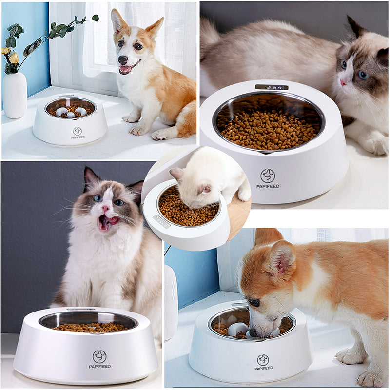 Smart Digital Pet Slow Feeder Bowl with Built-In Food Scale
