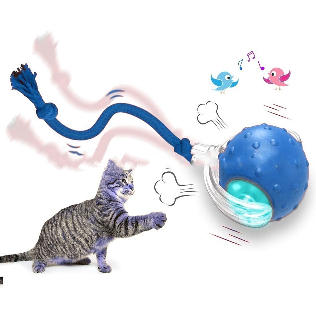 Interactive Smart Cat Toy Rolling Ball (Self-Moving & Rechargeable)