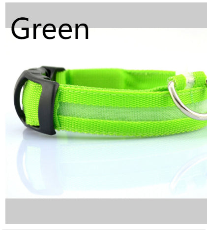 Safety LED Dog Collar – Adjustable Light-Up Collar for Night Visibility