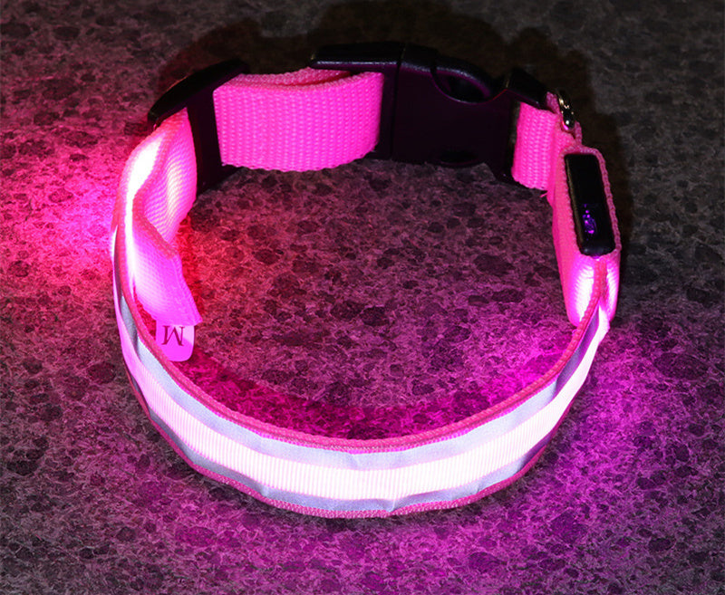 LED Light-Up Dog Collar – Anti-Lost, Adjustable & Night Safety Collar