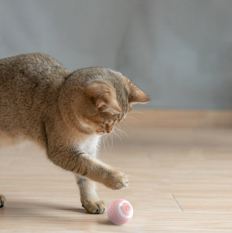 Automatic Self-Moving Rolling Ball Interactive Cat Toy