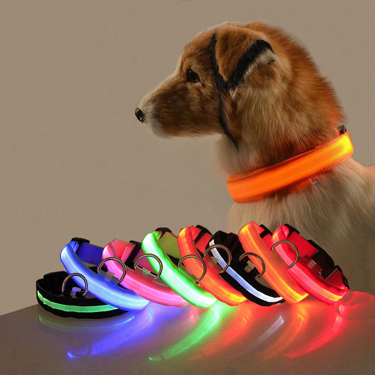 Safety LED Dog Collar – Adjustable Light-Up Collar for Night Visibility