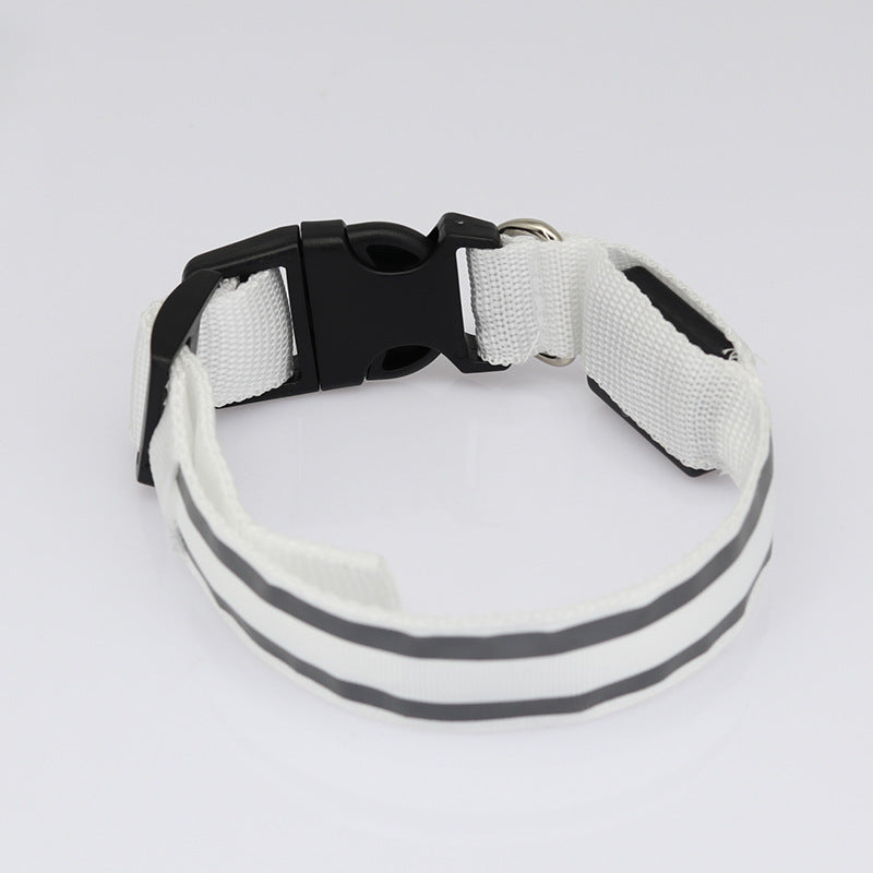 LED Light-Up Dog Collar – Anti-Lost, Adjustable & Night Safety Collar