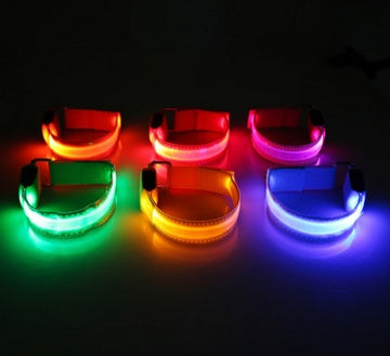 Safety LED Dog Collar – Adjustable Light-Up Collar for Night Visibility