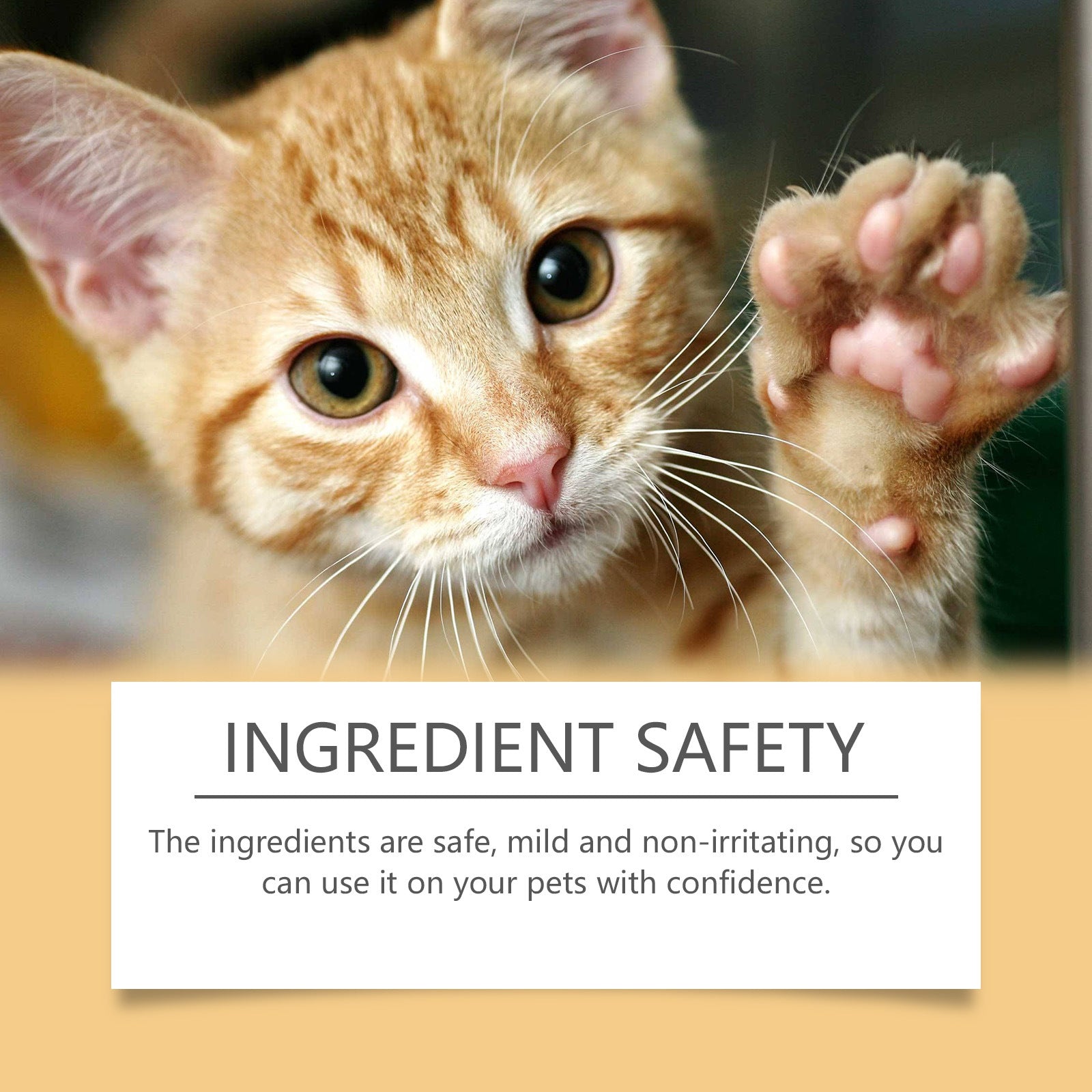 Natural Paw Balm for Dogs & Cats – Moisturizing Paw & Nose Protection Stick