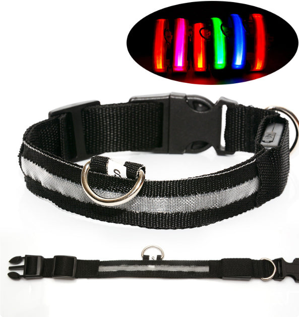 Safety LED Dog Collar – Adjustable Light-Up Collar for Night Visibility