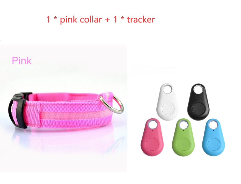 LED Safety Dog Collar – Adjustable Light-Up Collar for Night Walking