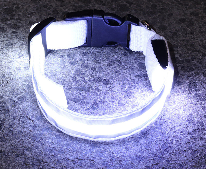 LED Light-Up Dog Collar – Anti-Lost, Adjustable & Night Safety Collar