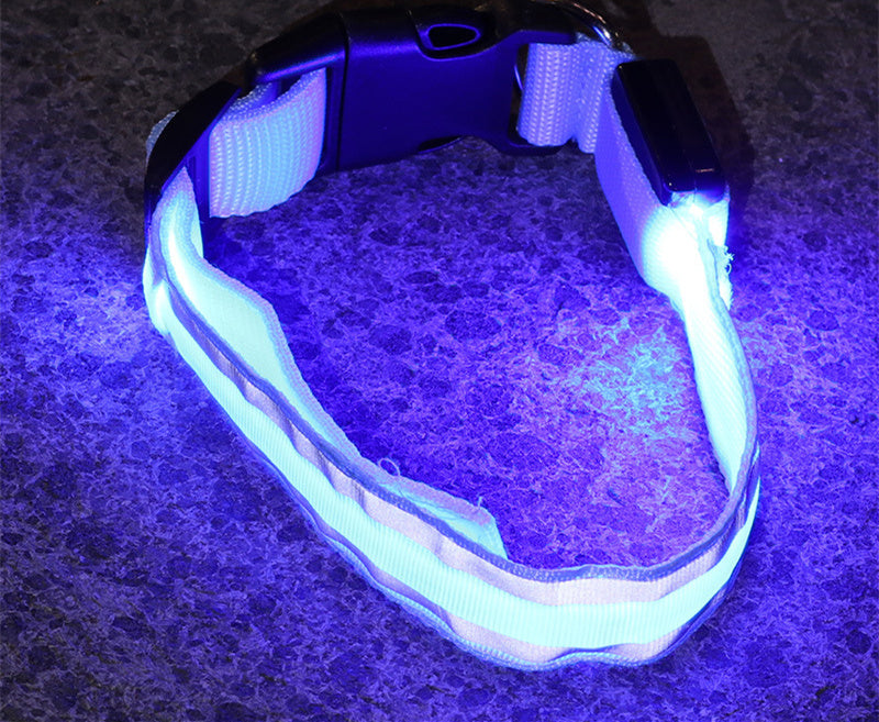 LED Light-Up Dog Collar – Anti-Lost, Adjustable & Night Safety Collar