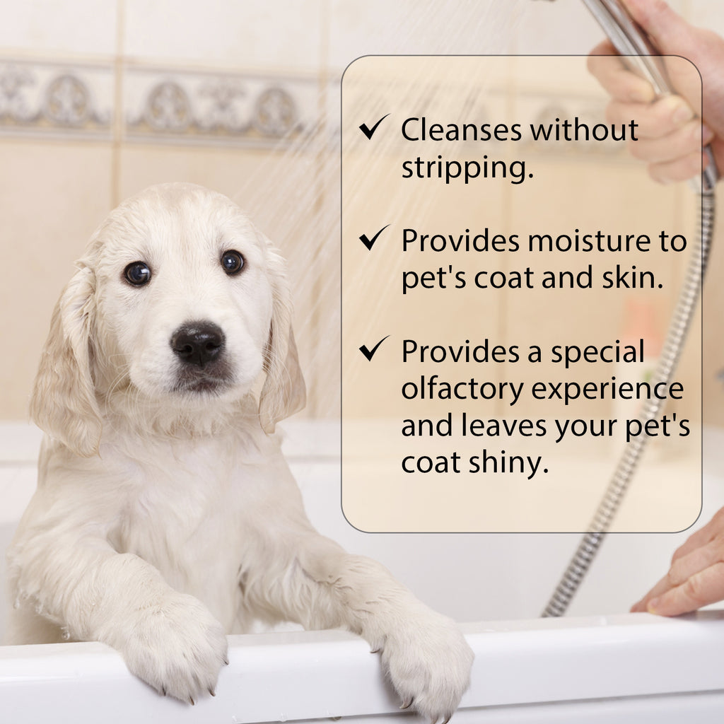 Mild Pet Shampoo (Gentle Cleansing Formula for Dogs & Cats – Soft & Tangle-Free Coat)