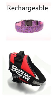 LED Safety Dog Collar – Adjustable Nylon Leopard Print Light-Up Pet Collar