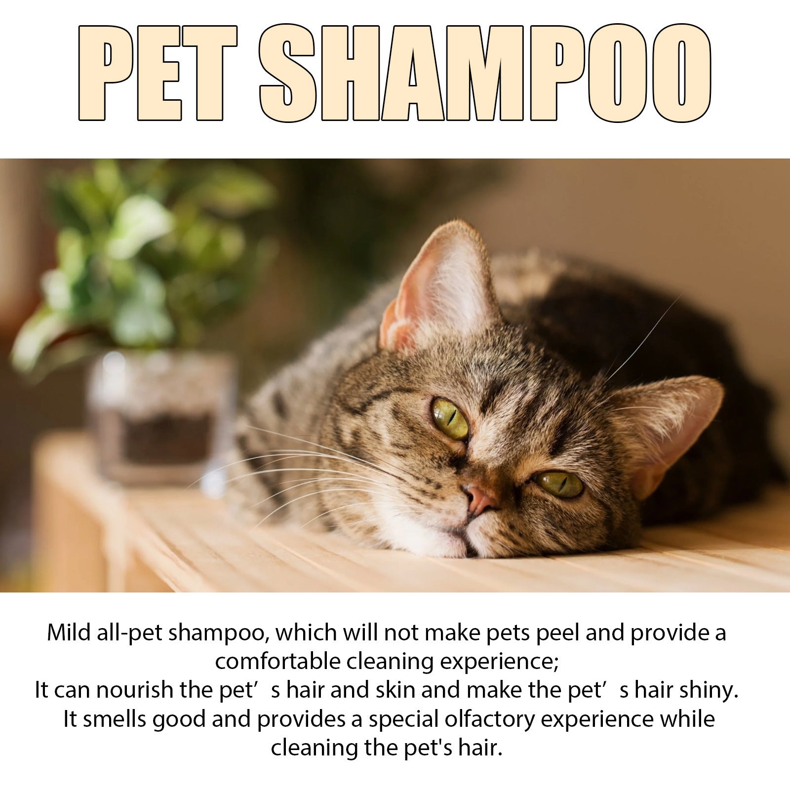 Mild Pet Shampoo (Gentle Cleansing Formula for Dogs & Cats – Soft & Tangle-Free Coat)