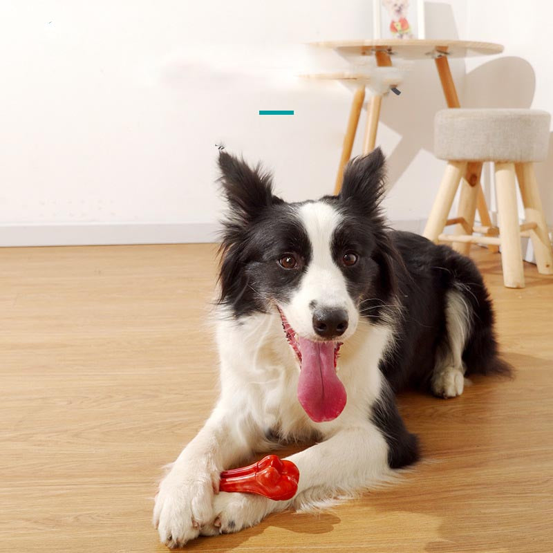 Chew-Resistant Dog Molar Stick (Durable Dental Chew Toy)