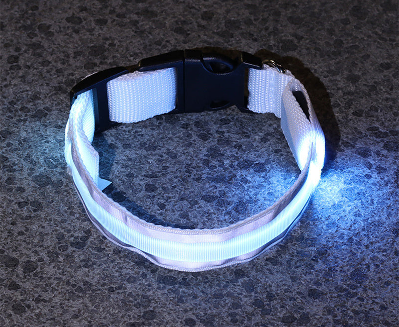 LED Light-Up Dog Collar – Anti-Lost, Adjustable & Night Safety Collar