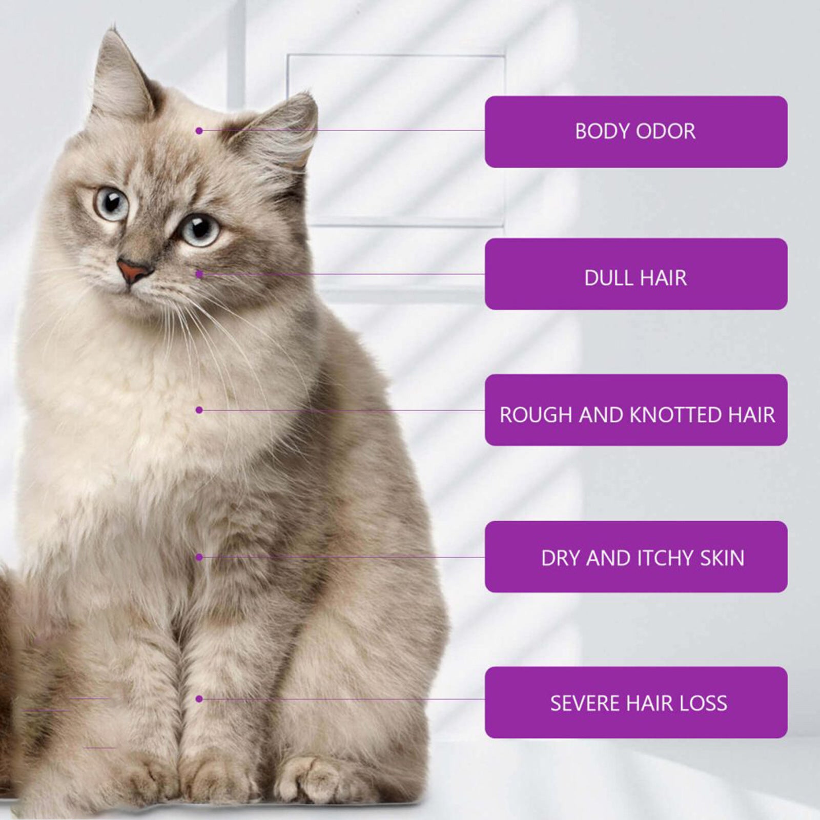 Gentle Pet Shampoo for Dogs (Soft Coat & Clean Finish)