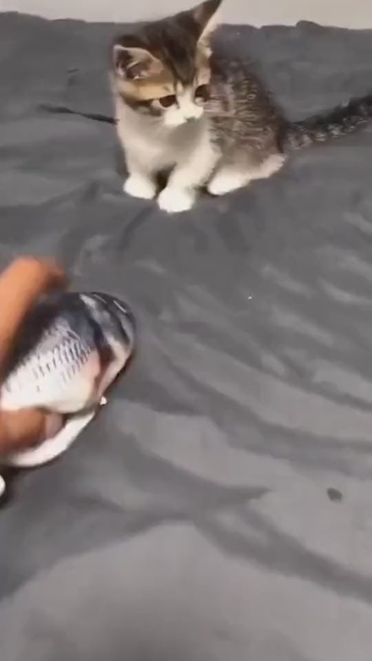 Electric Jumping Fish Cat Toy (No Catnip Version)