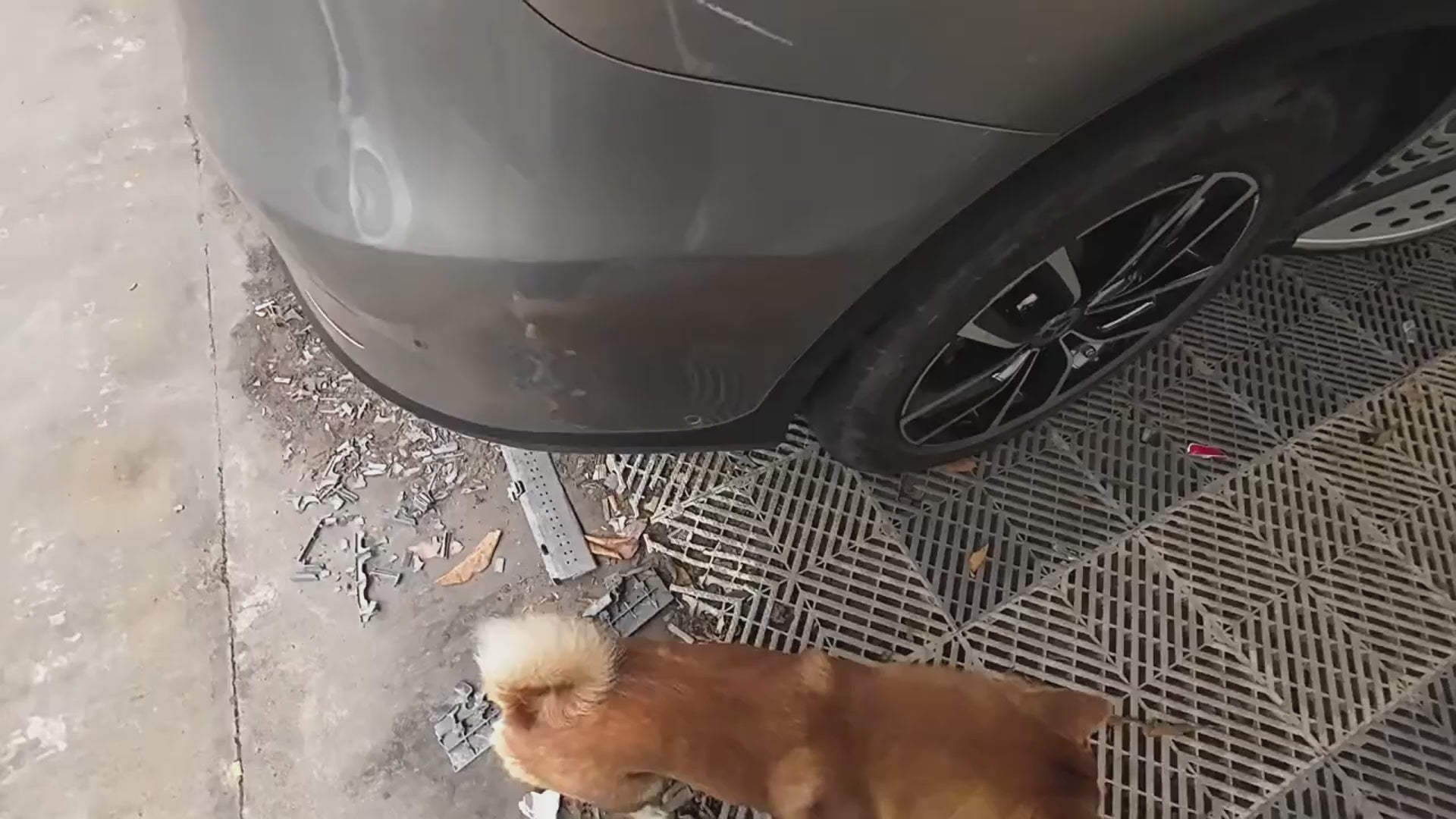 Waterproof Dog Car Seat Cover – Scratch-Resistant Oxford Fabric (Front & Back Seat Use)