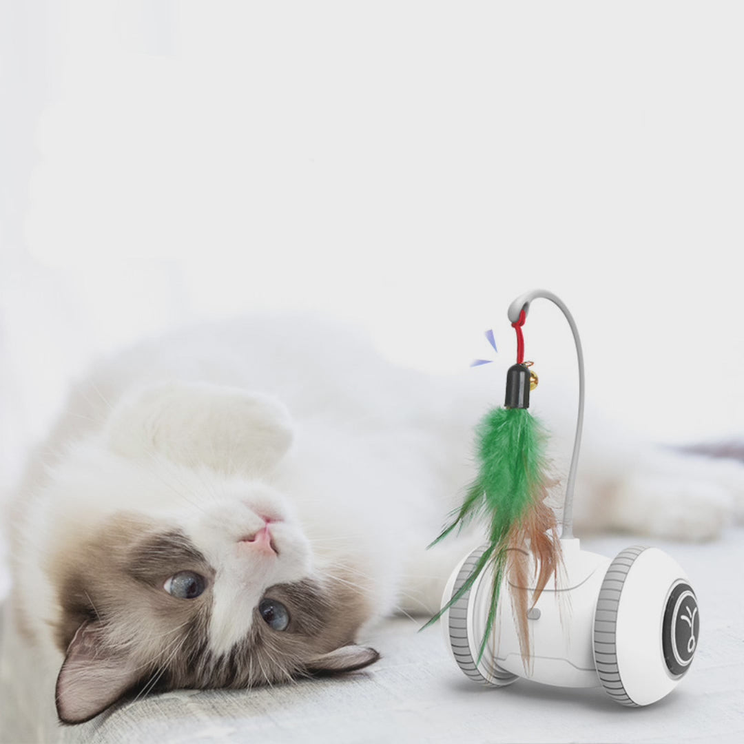 Interactive Automatic Cat Toy with Interchangeable Feather & Plush Attachments