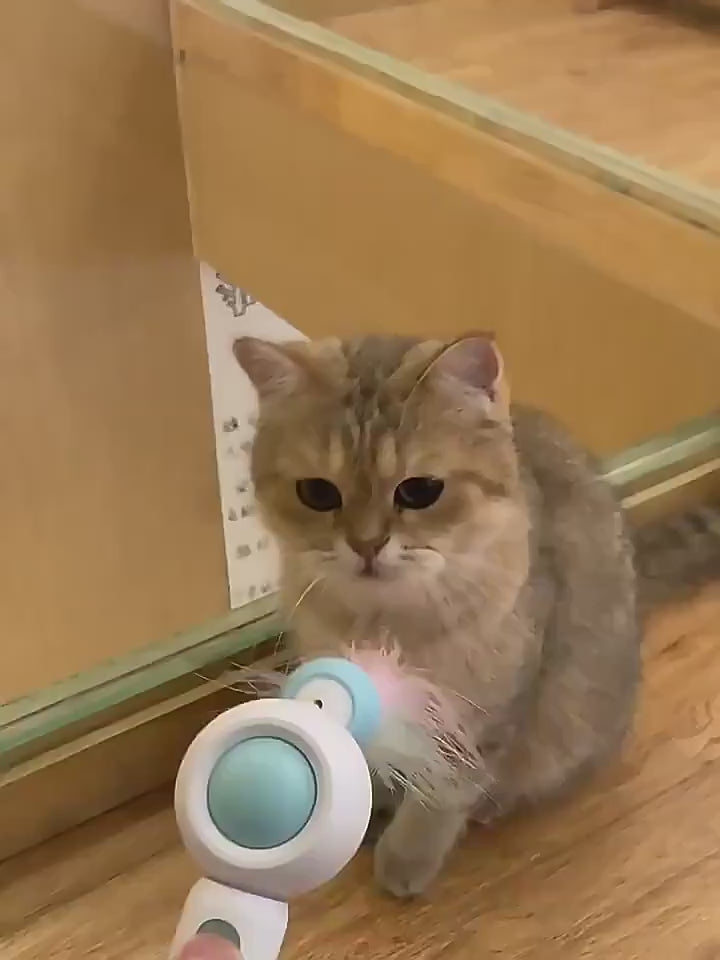 Retractable Cat Teaser Stick with Replaceable Feather Head