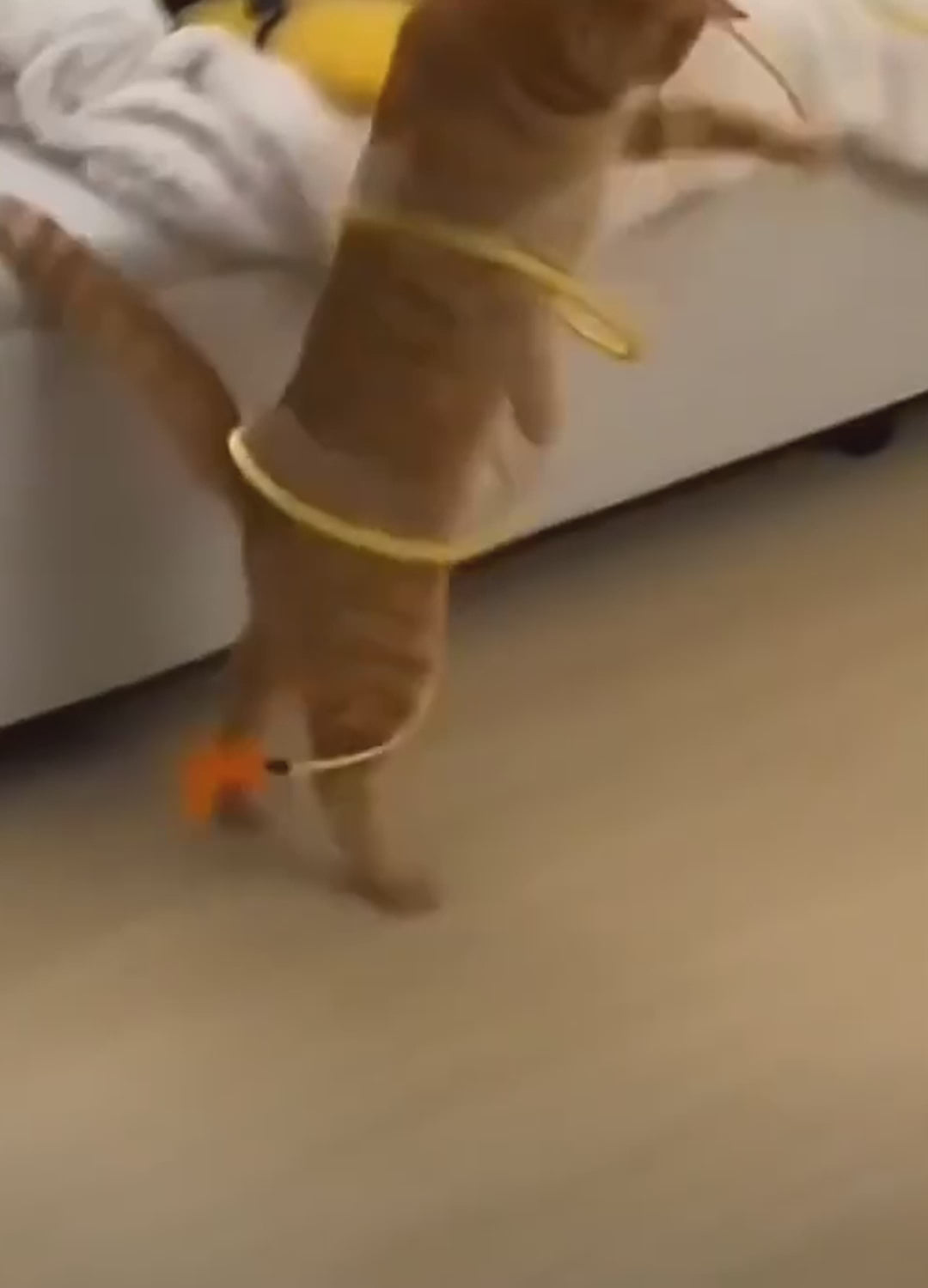 Foldable Cat Tunnel with Hanging Toys