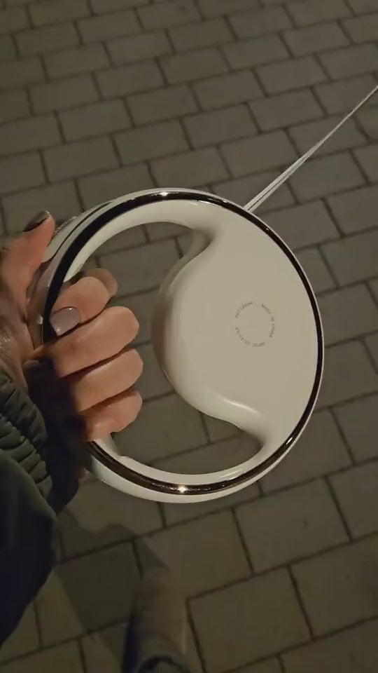 Automatic LED Retractable Dog Leash with Built-In Poop Bag Holder (USB Rechargeable)