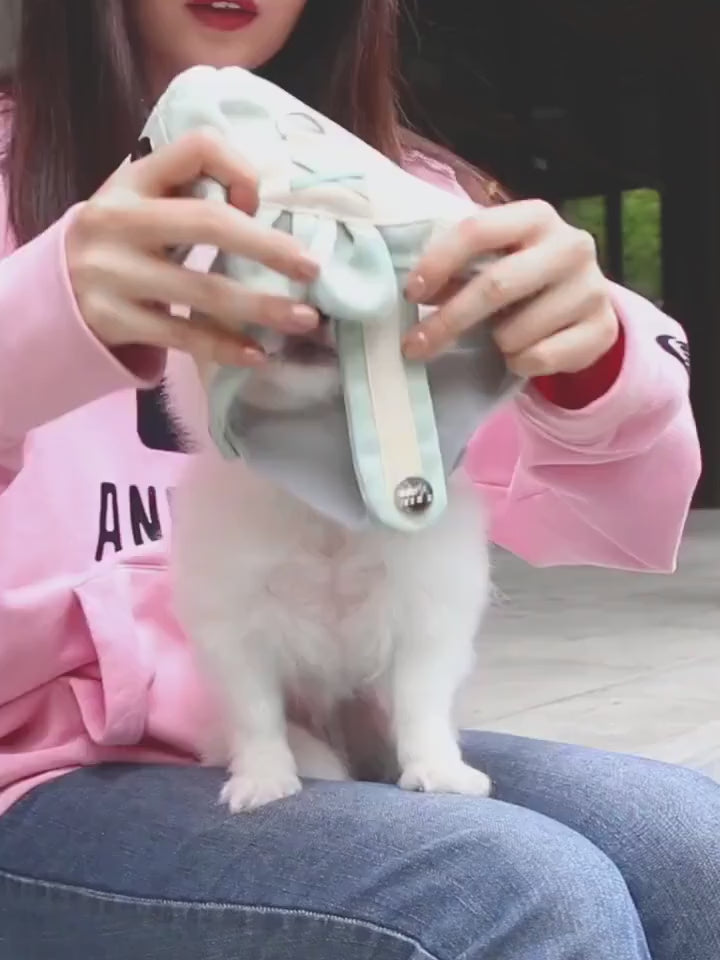 Breathable Comfort-Fit Dog Harness & Leash Set