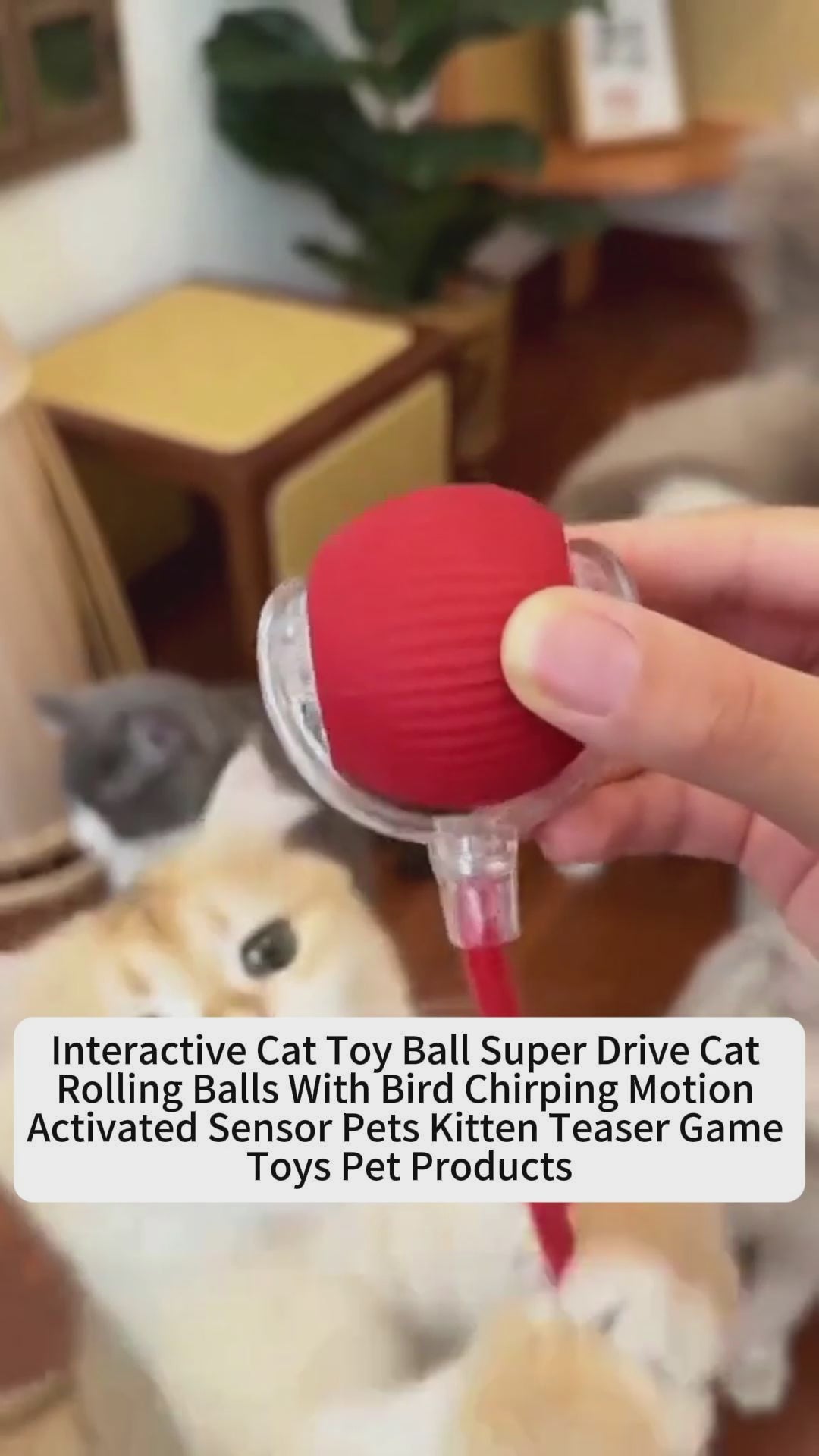 Interactive Smart Cat Toy Rolling Ball (Self-Moving & Rechargeable)